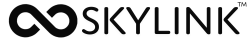 Skylink Ventures Logo